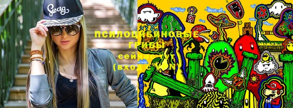 гашик Балабаново